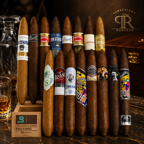 Set-Sample-Salamone-Torpedo